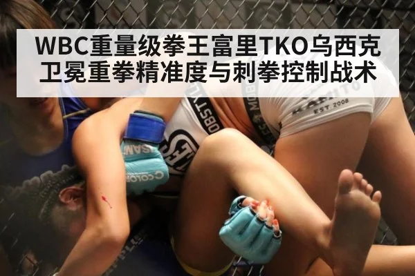 WBC重量级拳王富里TKO乌西克卫冕重拳精准度与刺拳控制战术