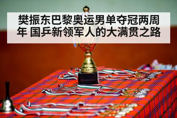 樊振东巴黎奥运男单夺冠两周年 国乒新领军人的大满贯之路